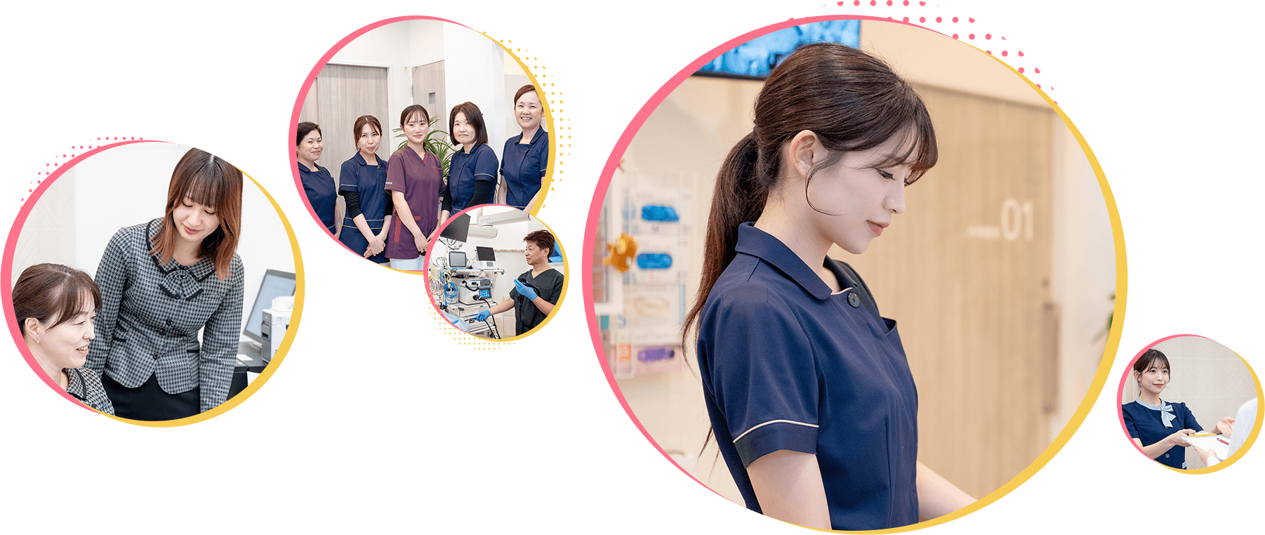 みずもと内視鏡・消化器内科クリニック 求人