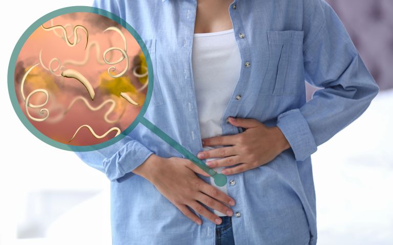 アニサキス症のイメージ写真